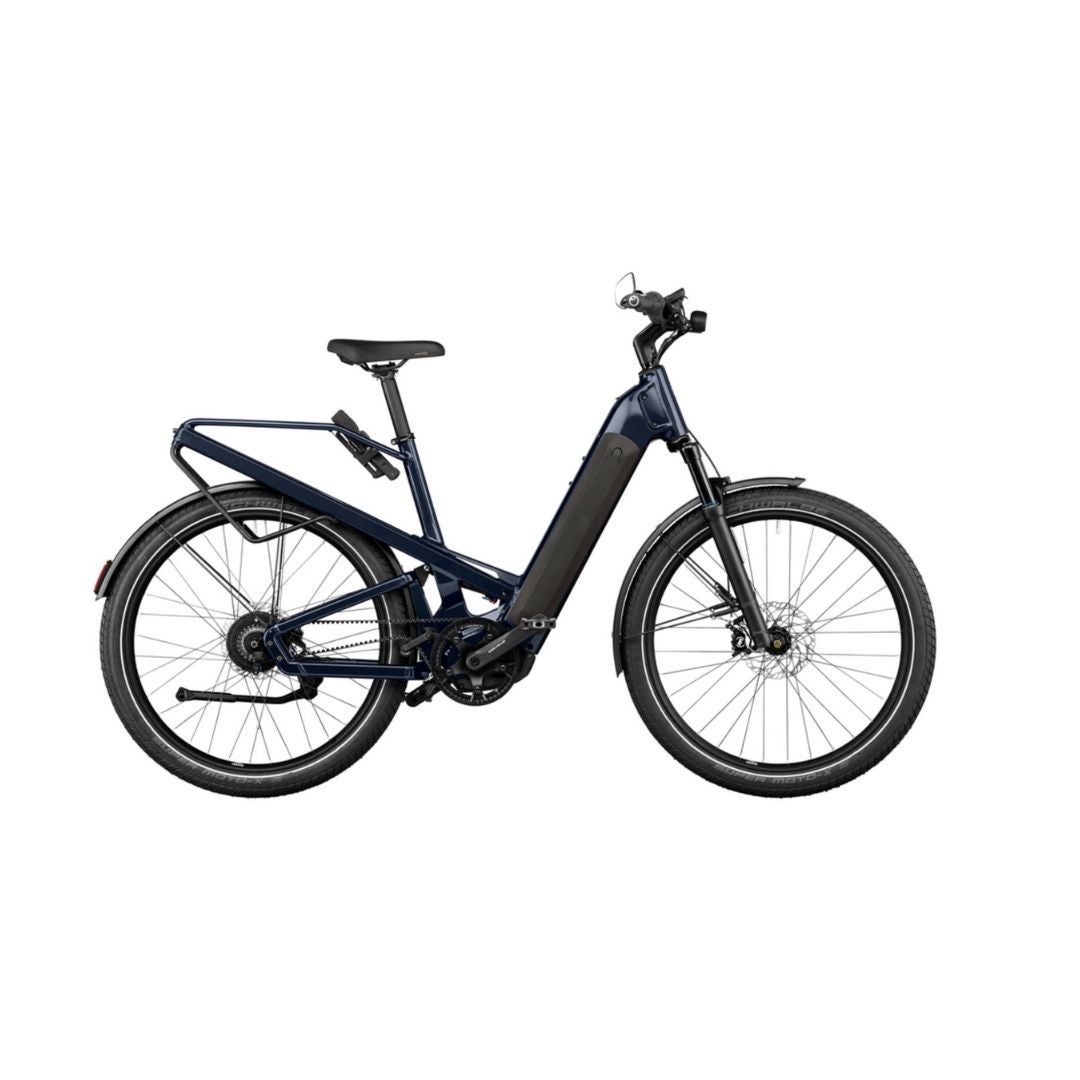 Riese & Müller BD-1 Riese & Müller Birdy BD1 (first generation) - Bike Forums